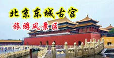 大鸡巴插小穴免费视频cad272.ccwww.qdfengbang.com中国北京-东城古宫旅游风景区